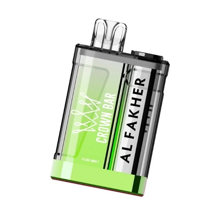 AL FAKHER 9000 Puff price