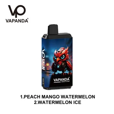 Vapanda 2 in 1 80K Puffs Vape