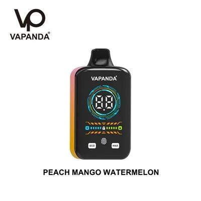 VAPANDA PRO 40000 Puffs Vape
